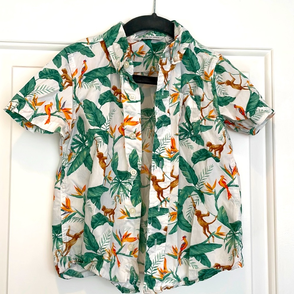 Janie and Jack Button Down